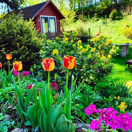 Velká Bukovina Bed And Breakfast Tvrz المظهر الخارجي الصورة