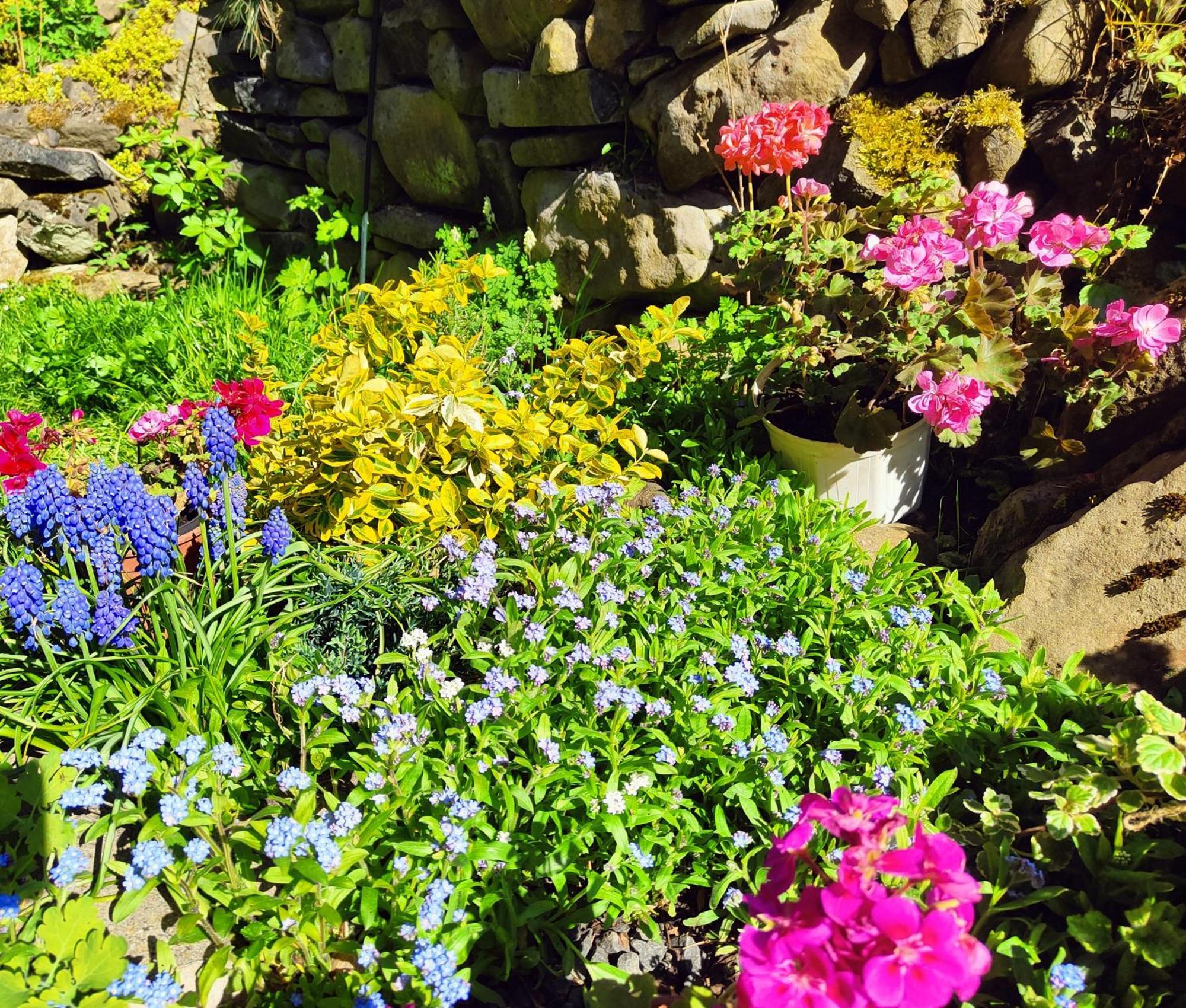 Velká Bukovina Bed And Breakfast Tvrz المظهر الخارجي الصورة