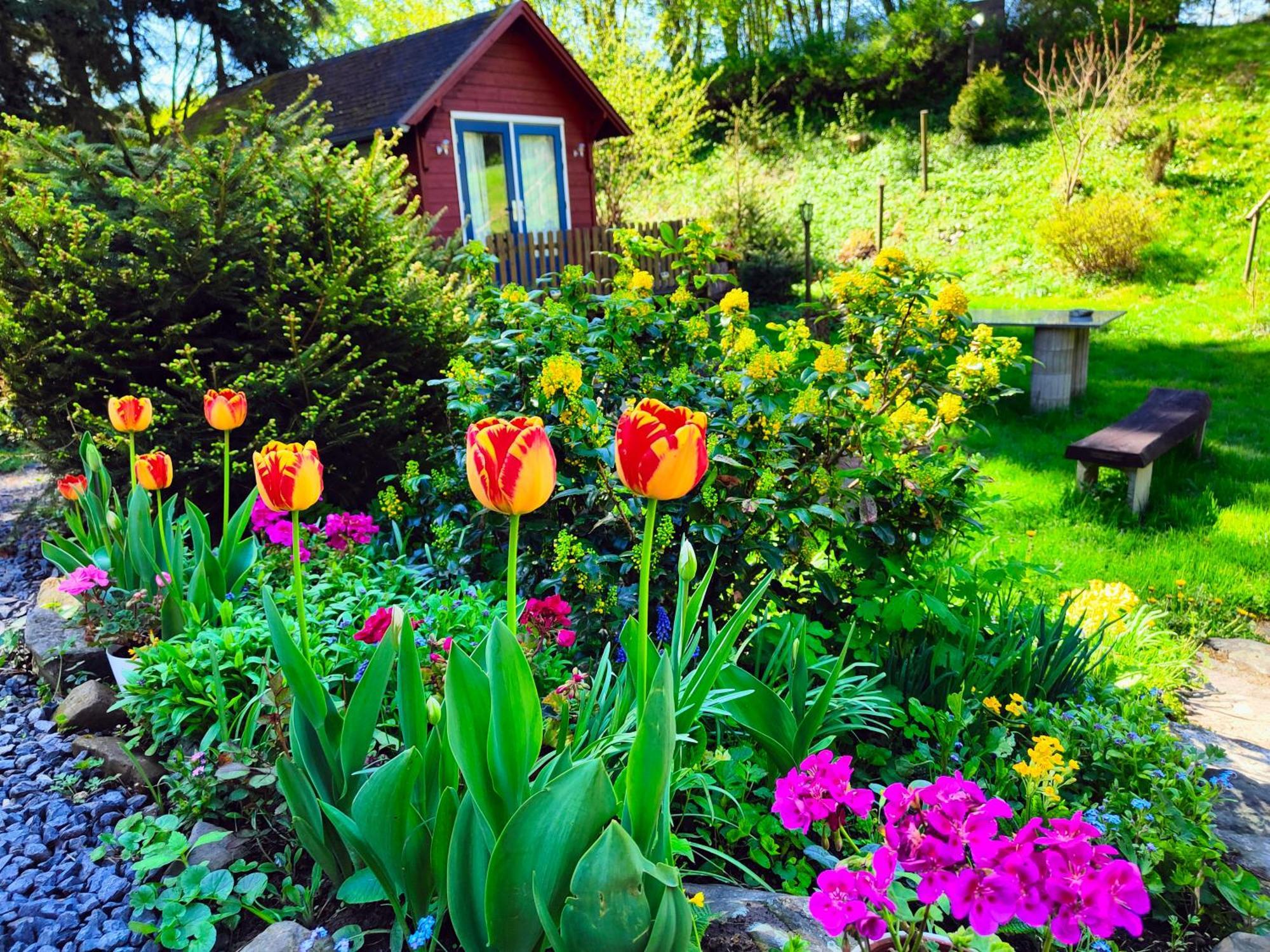 Velká Bukovina Bed And Breakfast Tvrz المظهر الخارجي الصورة