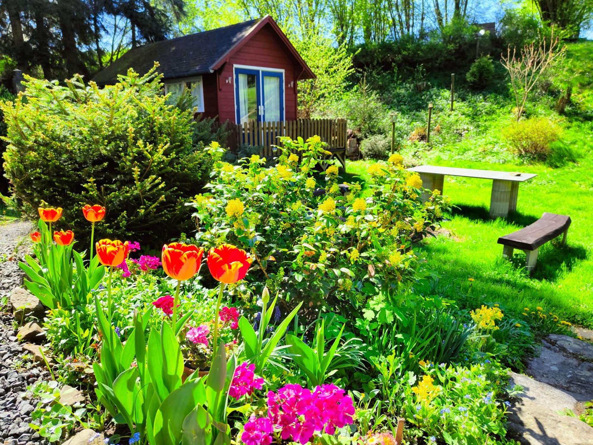 Velká Bukovina Bed And Breakfast Tvrz المظهر الخارجي الصورة